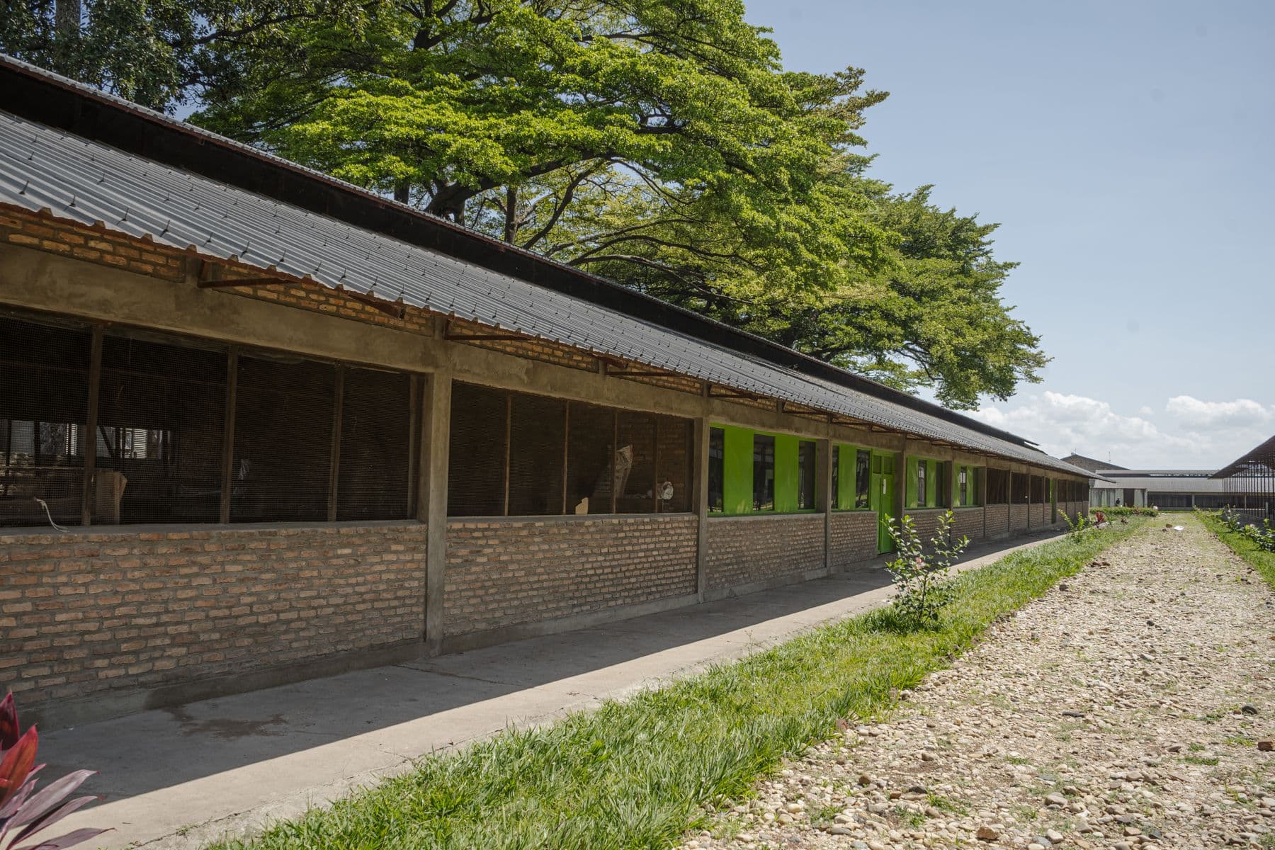 Long modern Orora poultry barn operated to the Orora standard